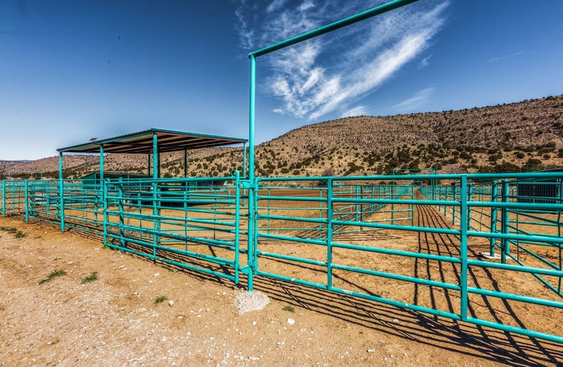 Chozas Horse Ranch