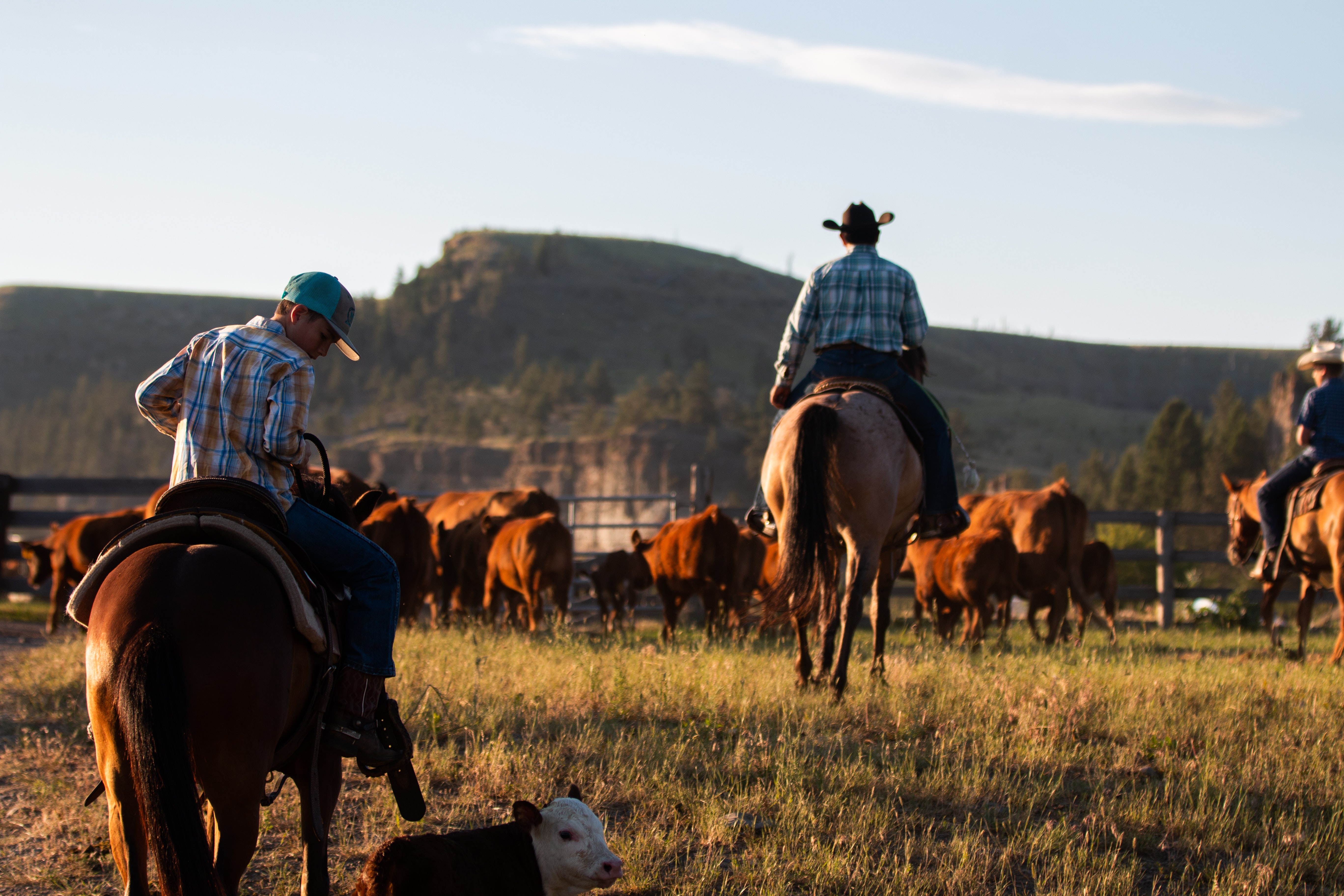 Insights for the Investment-Minded Land Owner: Ranch Property Offers Benefits Beyond Financial 